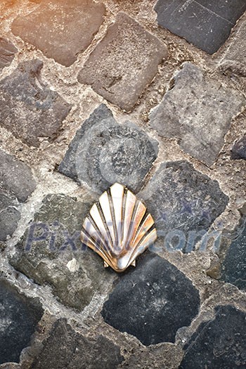 Santiago shell (Pilgrims shell), St James shell in Brussels, Belgium Santiago shell (Pilgrims shell), St James shell in Brussels, Belgium
