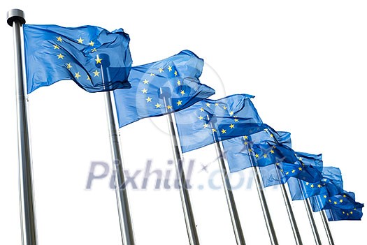European Union flags isolated on white background
