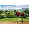 Glass of red wine against vineyard landscape