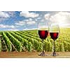 Glass of red wine against vineyard landscape