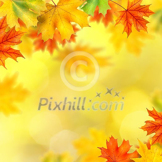 background with autumn leaves