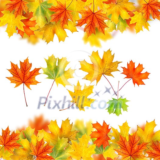 frame from autumn leaves isolated on white frame from autumn leaves isolated on white