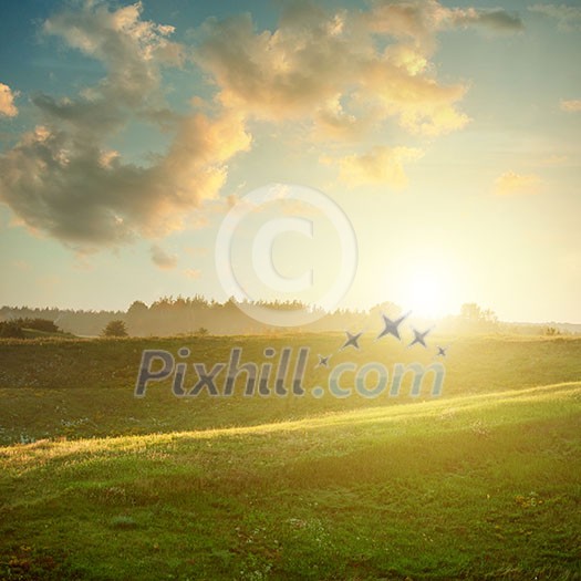 landscape on sunset - green field under sky and clouds