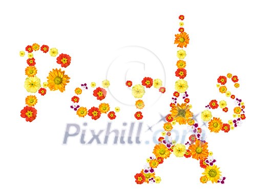 text paris with eiffel tower from flowers isolated on white text paris with eiffel tower from flowers isolated on white