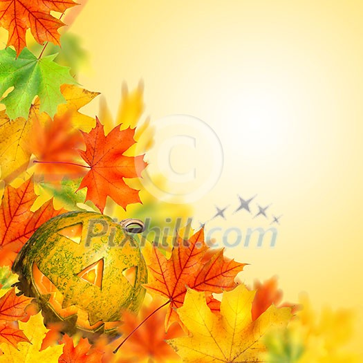 halloween pumpkin with autumn leaves isolated