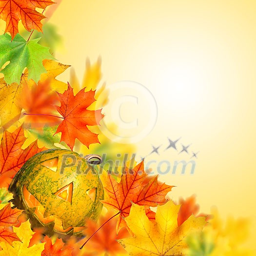 halloween pumpkin with autumn leaves isolated halloween pumpkin with autumn leaves isolated