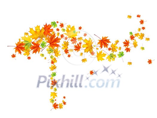umbrella from autumn leaves isolated on white umbrella from autumn leaves isolated on white
