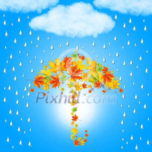 umbrella from autumn leaves under cloud and rain umbrella from autumn leaves under cloud and rain