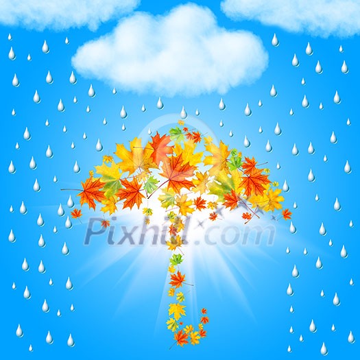 umbrella from autumn leaves under cloud and rain umbrella from autumn leaves under cloud and rain