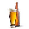 Beer in glass on white background