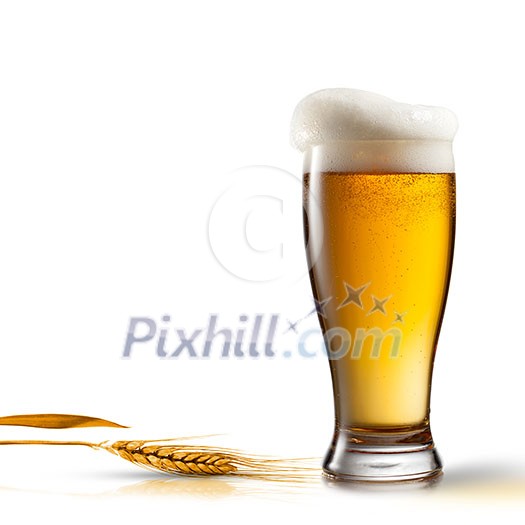 Beer in glass and wheat isolated on white background