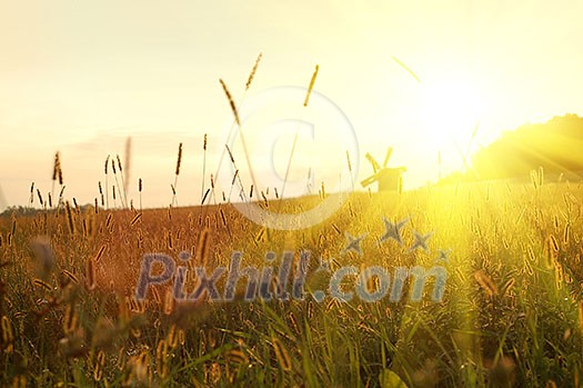 field on sunset field on sunset