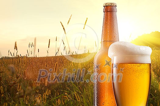 Glass of beer and bottle against wheat field and sunset Glass of beer and bottle against wheat field and sunset