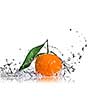 Tangerine with green leaves and water splash isolated on white