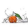 Tangerine with green leaves and water splash isolated on white