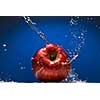 Red apple with water splash on blue background
