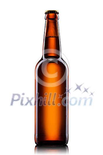 Beer bottle isolated on white background