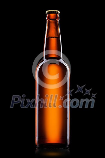 Beer bottle isolated on black