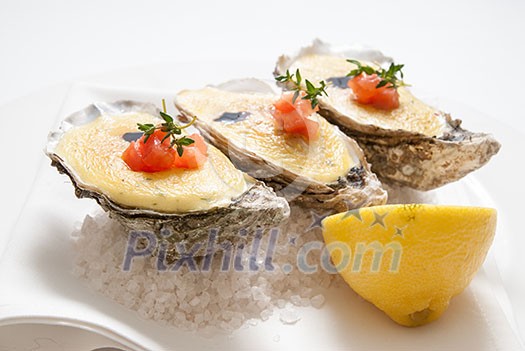 oysters with sauce and lemon on plate oysters with sauce and lemon on plate
