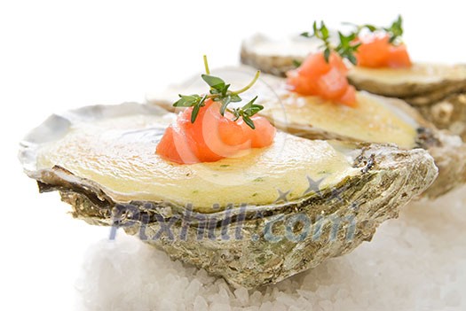 oysters with sauce oysters with sauce