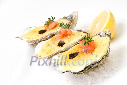 oysters with sauce and lemon oysters with sauce and lemon