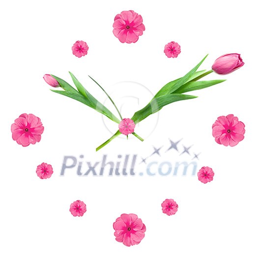 Clock made of pink tulips isolated on white