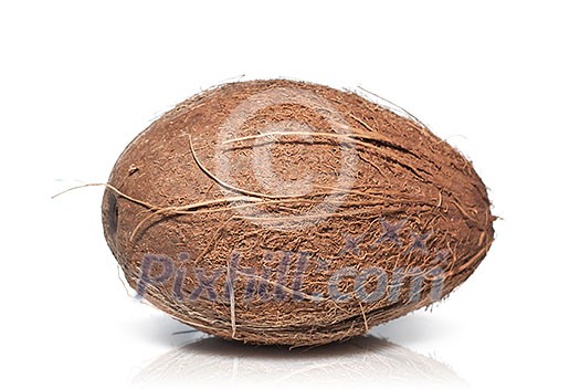 coconut isolated on white coconut isolated on white