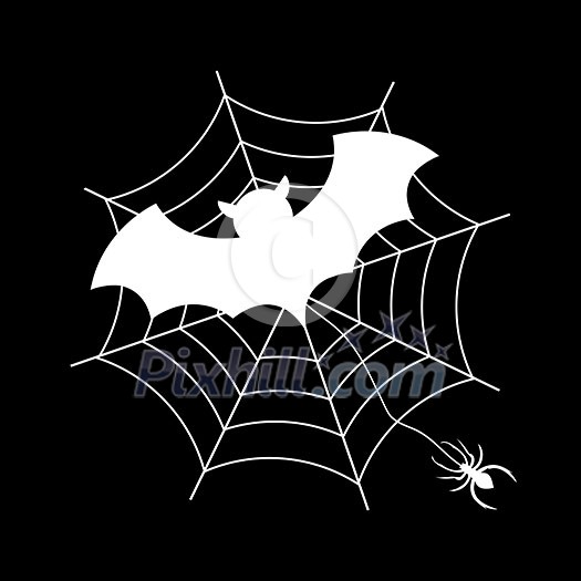 bat and spider vector cartoon for halloween day  