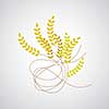 wheat symbol on gray background 