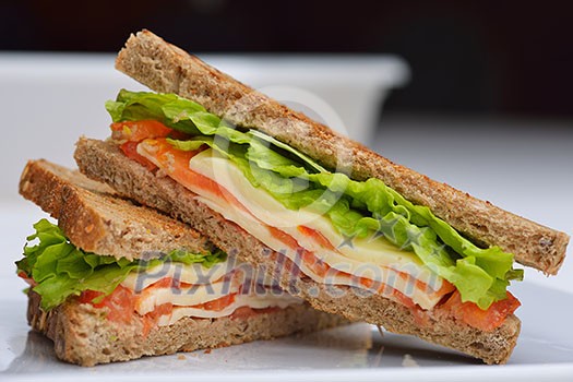 fresh sandwich close up with vegetables and meat fish isolated on white background