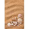 frame from various shells on sand