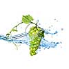 green grape with water with splash isolated on white