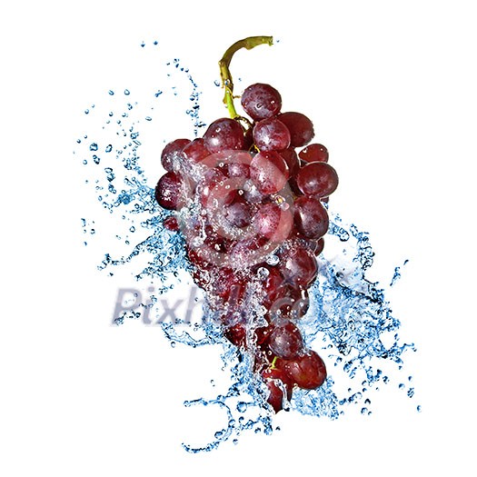 blue grape with water splash isolated on white