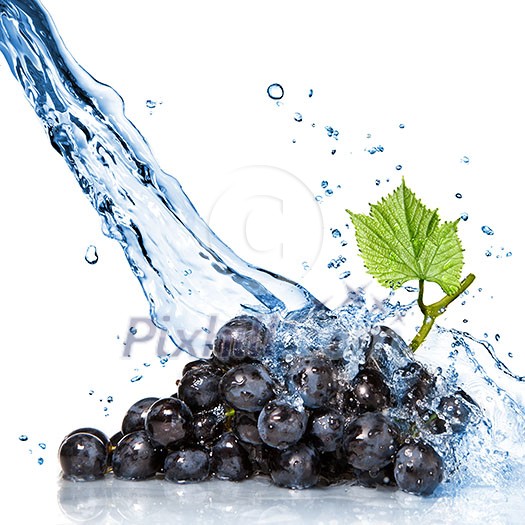 blue grape with water splash isolated on white
