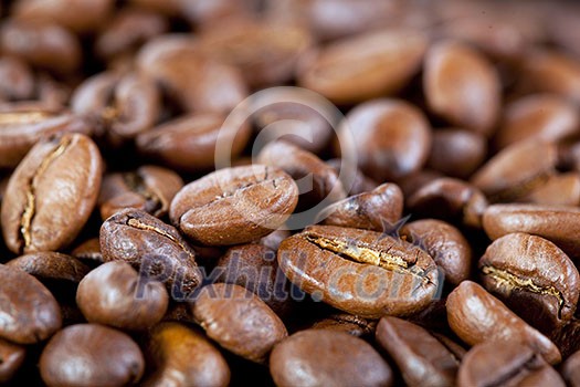 background from coffee beans