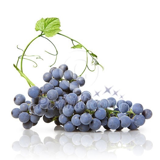 blue grape with green leaf isolated on white