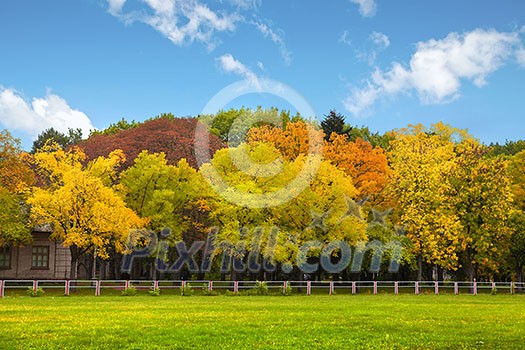 Autumn trees over the blue sky Autumn trees over the blue sky