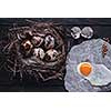 Quail eggs in the nest and a fried egg on a wooden board. Low contrast. Instagram toned.