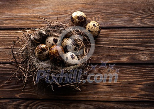 Quail eggs in the nest on a wooden board Quail eggs in the nest on a wooden board