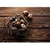 Quail eggs in the nest on a wooden board