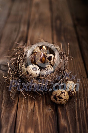 Quail eggs in the nest on a wooden board. Shallow depth of field. Quail eggs in the nest on a wooden board. Shallow depth of field.