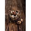 Quail eggs in the nest on a wooden board. Shallow depth of field.