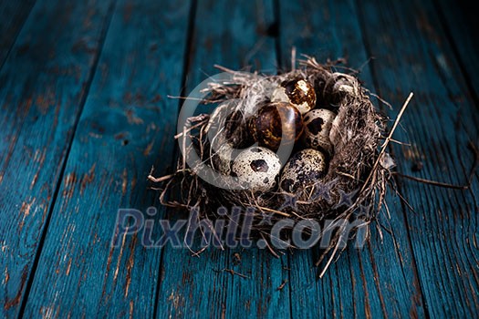 Quail eggs in the nest on a wooden board