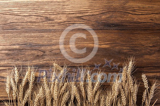 wheat on wooden background. top view