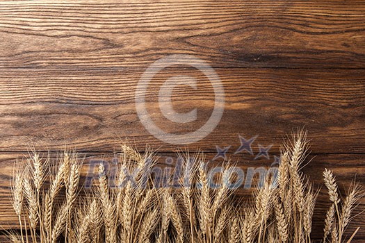 wheat on wooden background. top view wheat on wooden background. top view