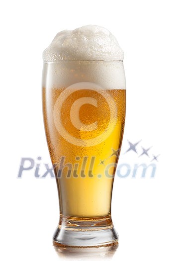 Beer in glass isolated on white background