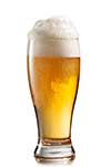 Beer in glass isolated on white background