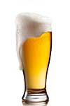 Beer in glass isolated on white background