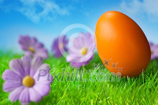 Orange easter egg in the grass against blue sky