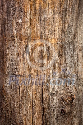 wood texture